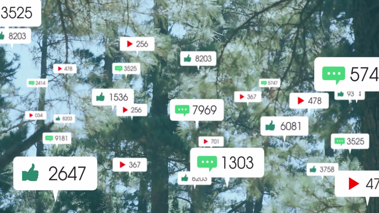 Notification badges appearing in pine canopy, multiplying then drifting away to show social metrics