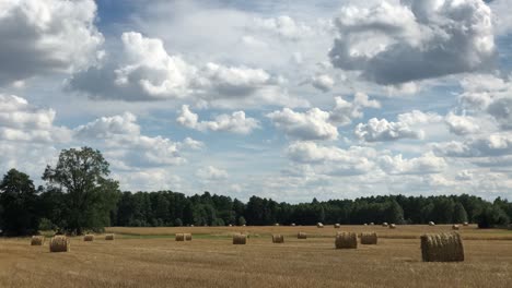 Entdecken-Sie-Die-Ruhige-Schönheit-Der-Strohballen,-Die-über-Das-Sonnenbeschienene-Feld-Verstreut-Sind