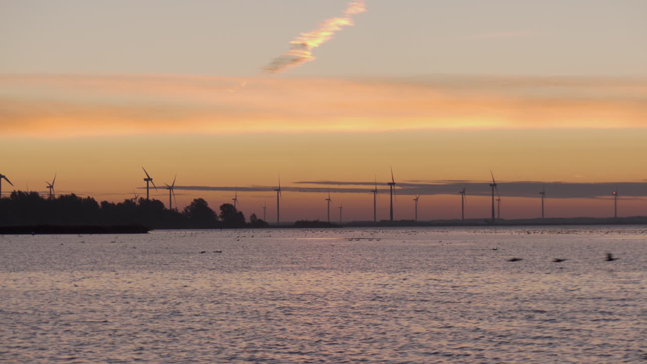 일출에 호수 위로 날아가는 새 떼