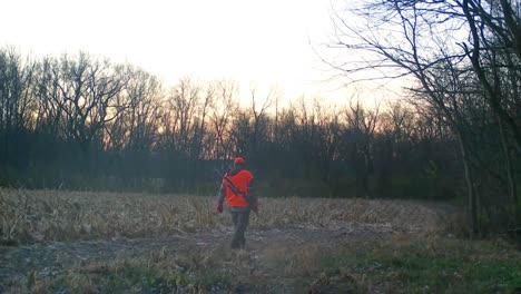 hunter dressed in orange and camouflage slowly walking along game trail at the edge of harvested corn field at sunrise in early winter in american midwest