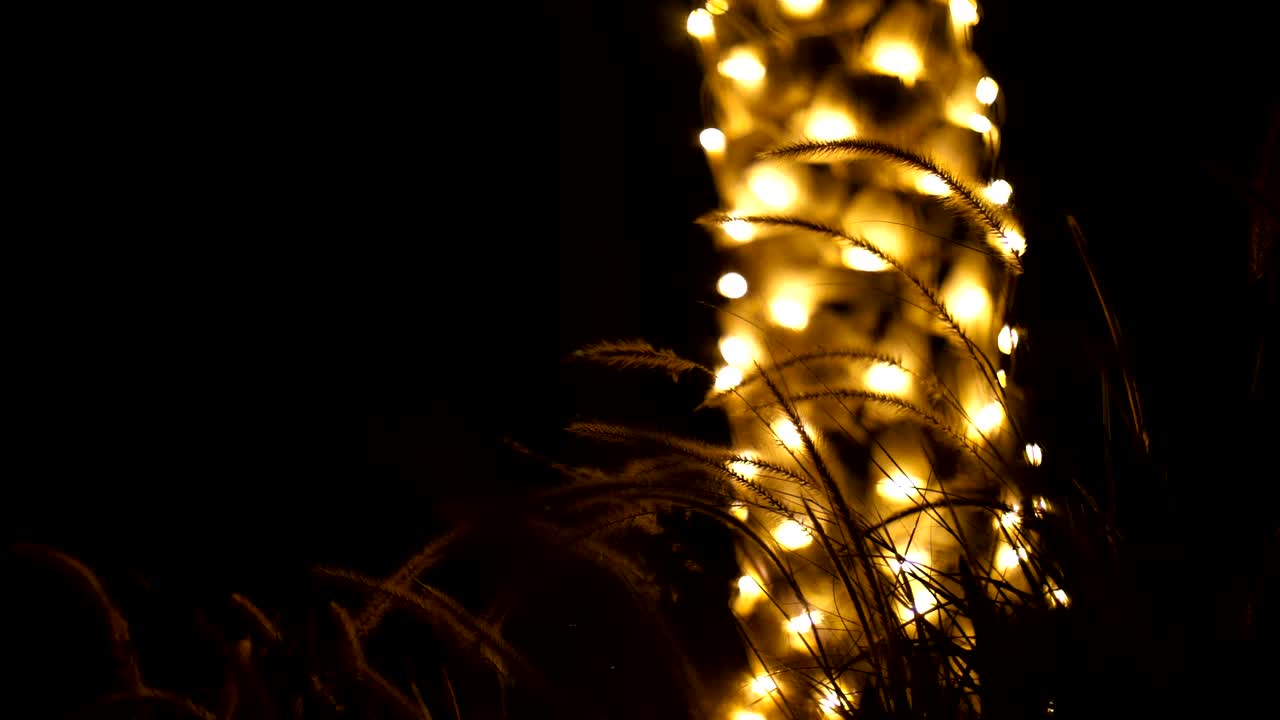 어 속에서, 조명으로 장식 된 나무 줄기의 배경에, 바람에 흔들리는 니와 풀, 빛의 광선