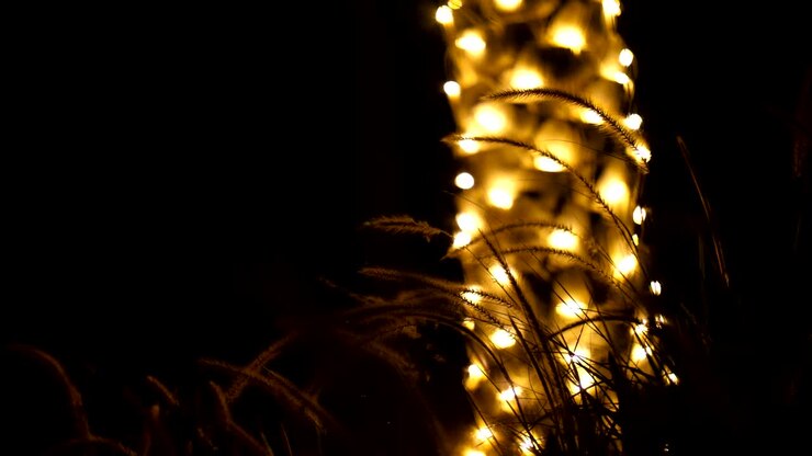 Close-up. in the dark, against the background of a trunk of a palm tree decorated with illumination, spikelets and grass swaying in the wind, in the rays of light