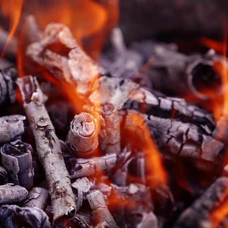 bonfire burning at night. campfire burns on nature. flames of fire. shimmering red glow. power of fire. video