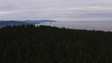 Ascenso-Aéreo-Sobre-El-Bosque-De-Coníferas-Costero-Para-Revelar-El-Cabo-Kiwanda-En-La-Distancia,-Costa-De-Oregon