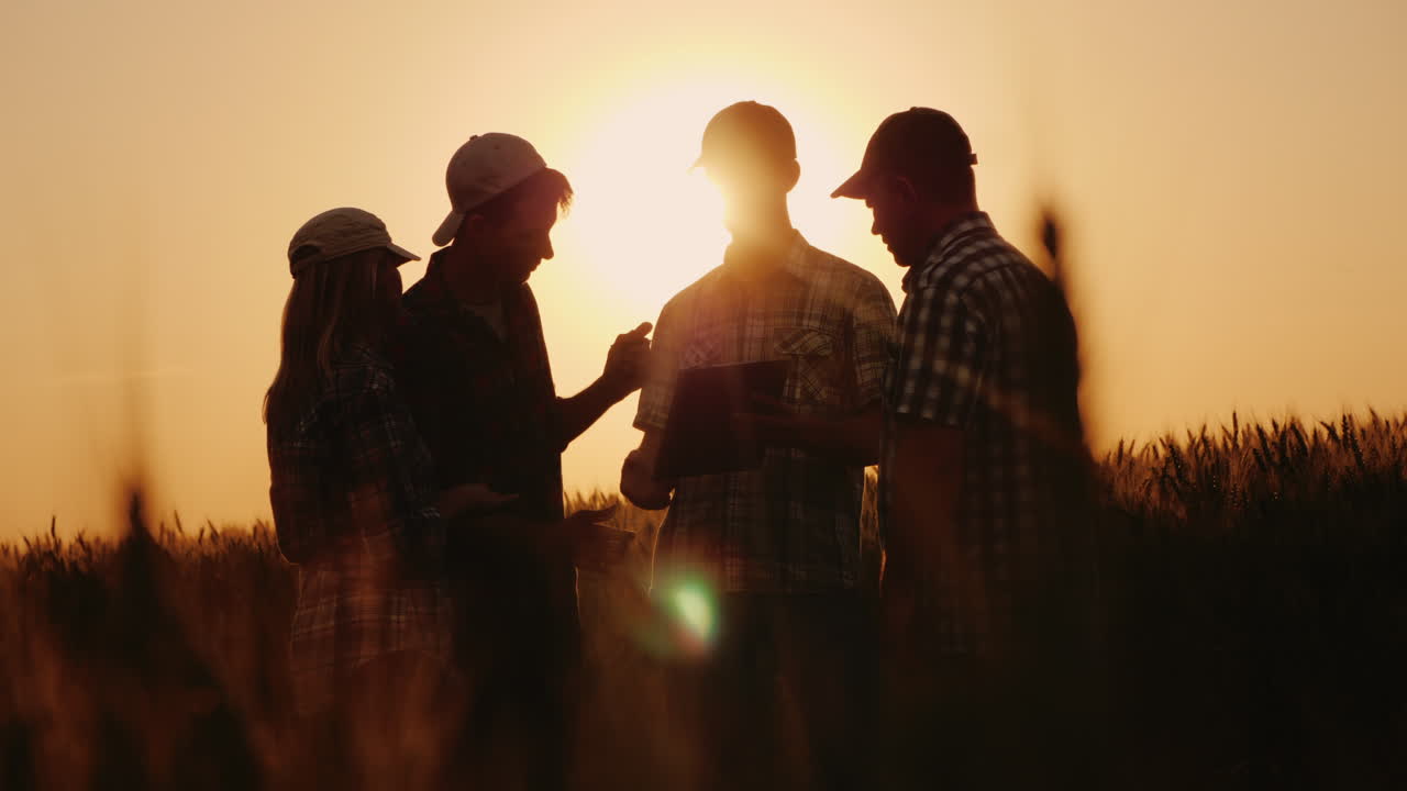A Team Of Successful Farmers Emotionally Congratulates Each Other Standing In A Wheat Field