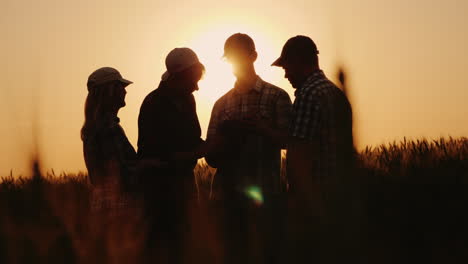 Ein-Team-Erfolgreicher-Landwirte-Gratuliert-Einander-Emotional-Auf-Einem-Weizenfeld