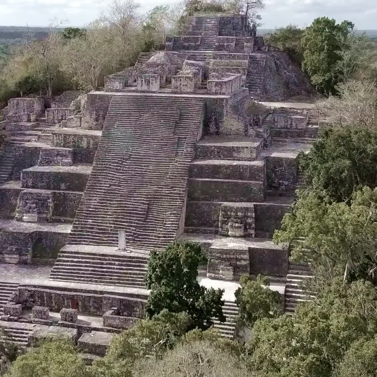 hermoso vuelo aéreo hacia el templo maya de calakmul en el yucatán mexicano