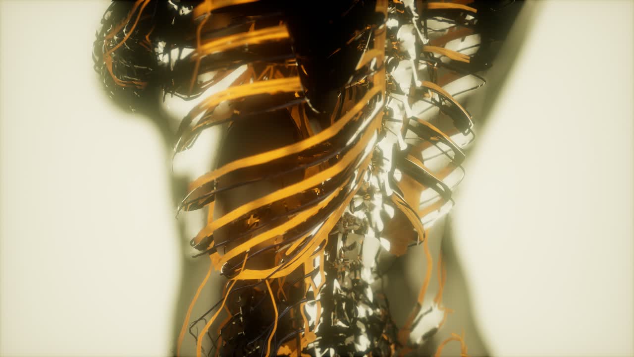 순환계의 혈관에 있는 혈액의 검사