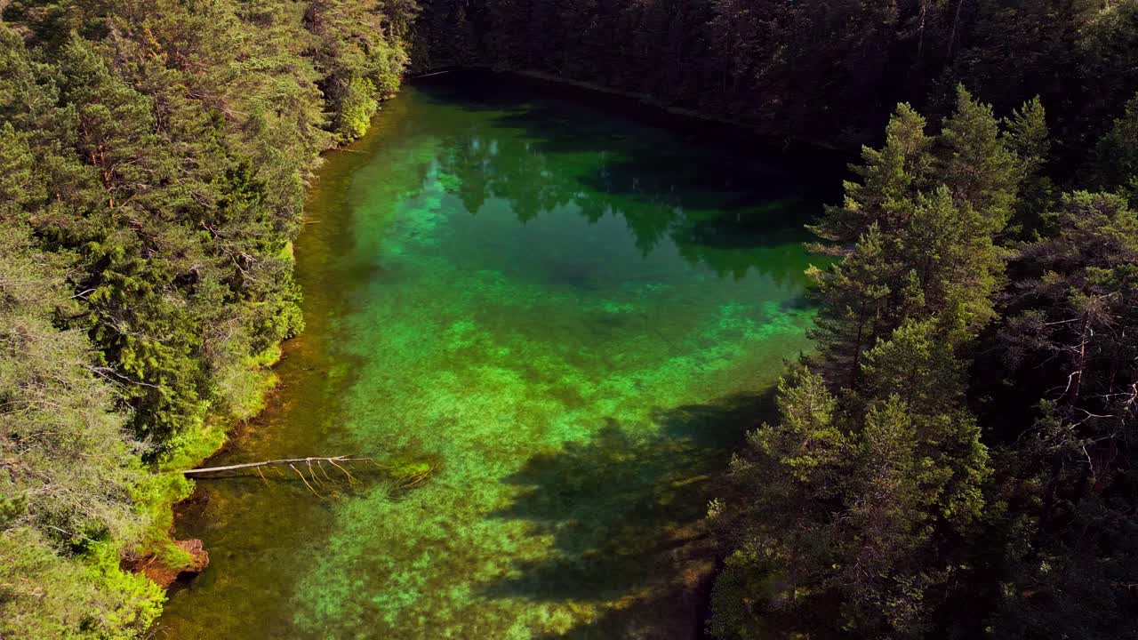Antu Sinijarv in LääneVirumaa Estonia features crystalclear water and lush green forest surrounding a glacial lake offering a stunning view of pristine untouched Nordic landscape