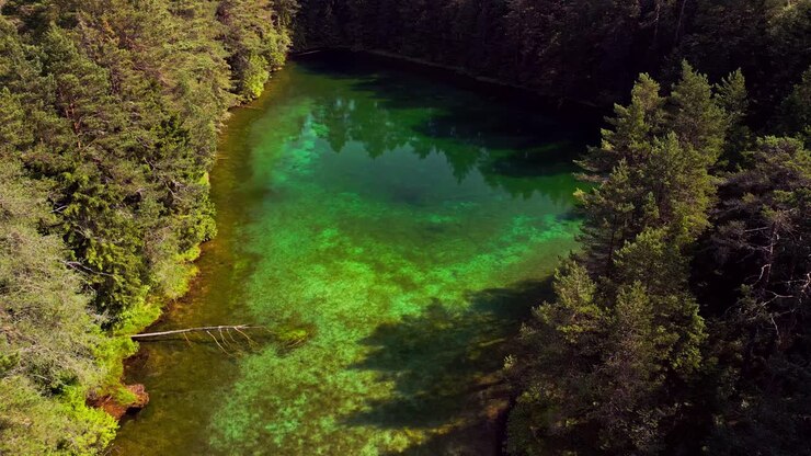 Antu Sinijärv a Lääne-Virumaa, Estonia, presenta acqua cristallina e una lussureggiante foresta verde che circonda un lago glaciale, offrendo una vista mozzafiato di un paesaggio nordico incontaminato