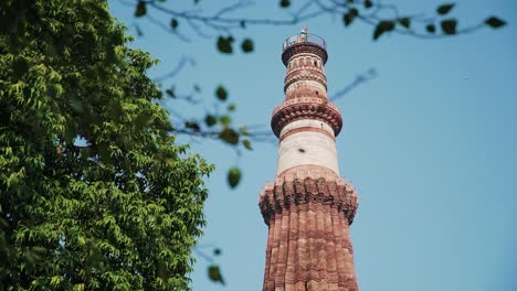 cinematic closeup shot of qutub minar with leaves in foreground.
