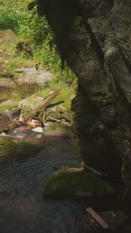 scenery of sunlit rock with gorge near natural reservoir. rough stones in green forest with mountain river. landscape of unspoiled nature on summer day