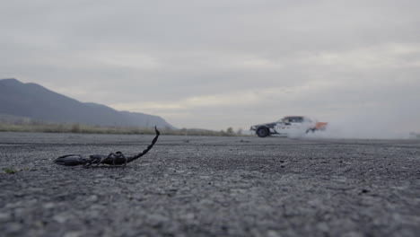 An-asphalt-scorpion-and-behind-it-a-car-drifting-in-slow-motion