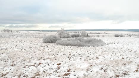 Snow-covered-marshland-on-winter-season-in-aerial-drone-backward-shot