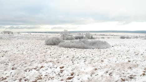 Schneebedecktes-Marschland-In-Der-Wintersaison-In-Luftdrohnen-Rückwärtsaufnahme