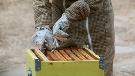 Colmena-Apicultor-Trabajador-Extrayendo-Marco-Con-Abejas-Volando-Alrededor,-Cerrar