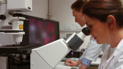 scientist looking through a microscope