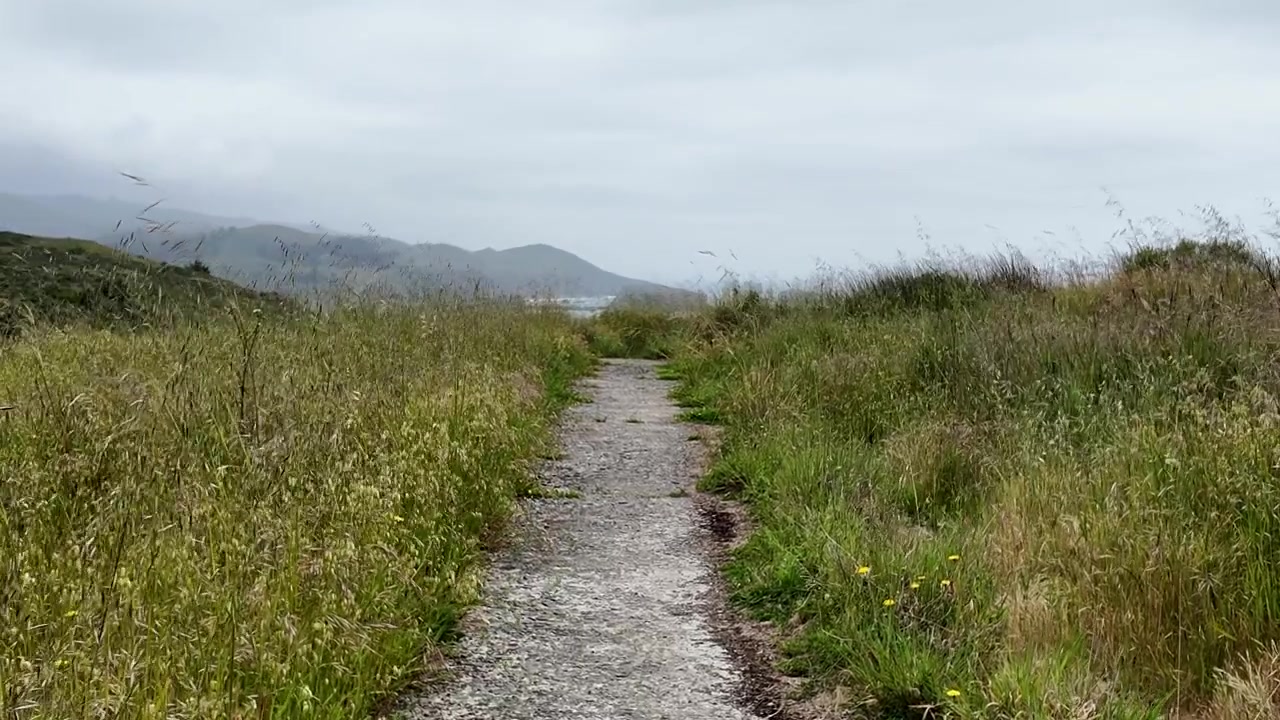 Jenner Headlands Preserve is a protected coastal wilderness offering scenic hiking trails dramatic ocean views rolling headlands and rich natural habitats along the Sonoma Coast