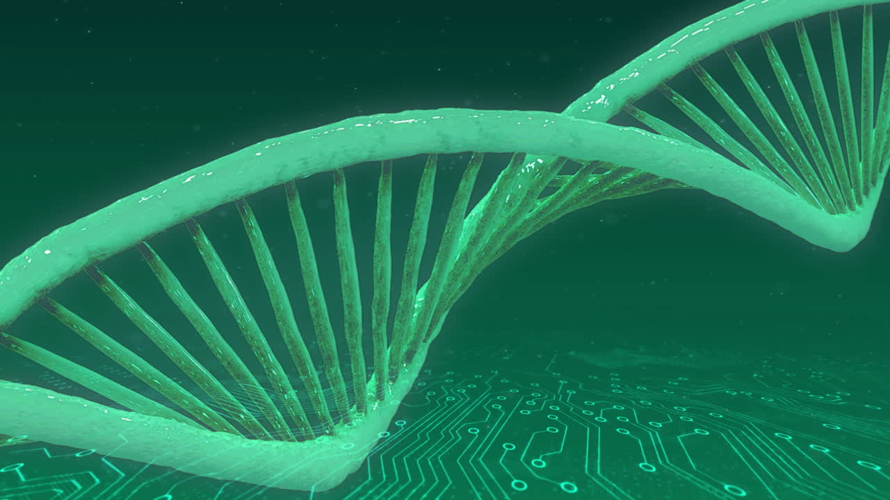 Animazione di elica di DNA che ruota su motivi di circuiti elettronici su sfondo astratto