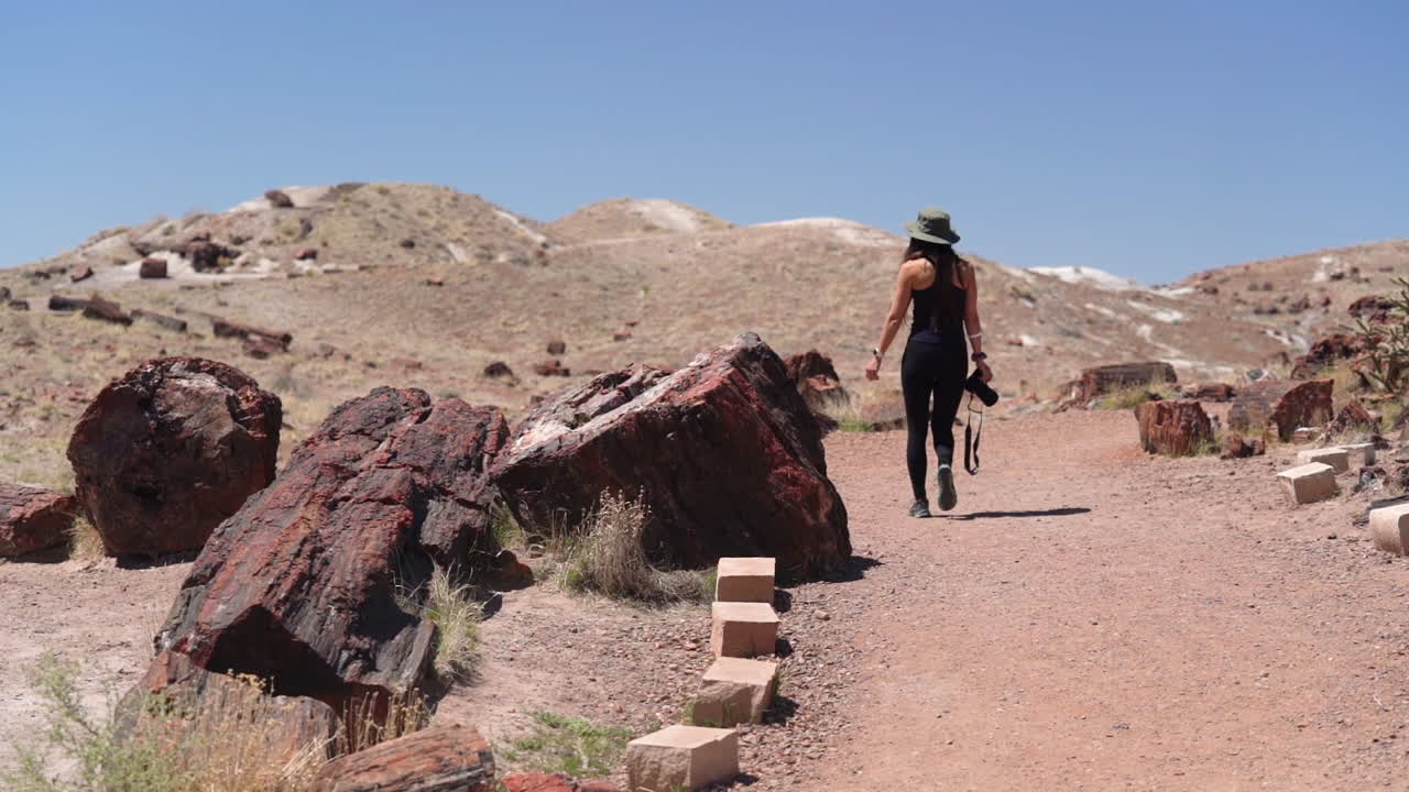fotógrafa en la ruta de senderismo en el parque nacional del bosque petrificado caminando por troncos petrificados, madera cristalizada y paisaje desértico, cámara lenta de marco completo