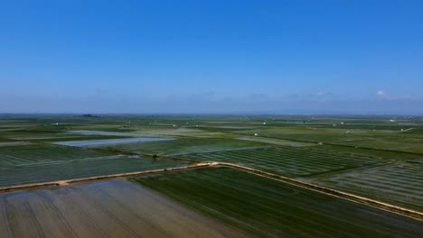 Vista-Aérea-De-Los-Campos-De-Arroz-Inundados