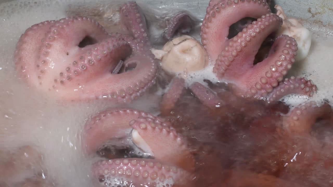 Octopus is cooking in a pot with boiling water