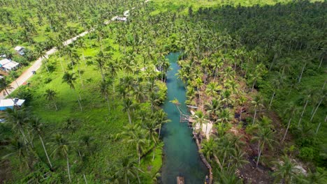 4k drone video flying backwards from maasin river on siargao island in the philippines