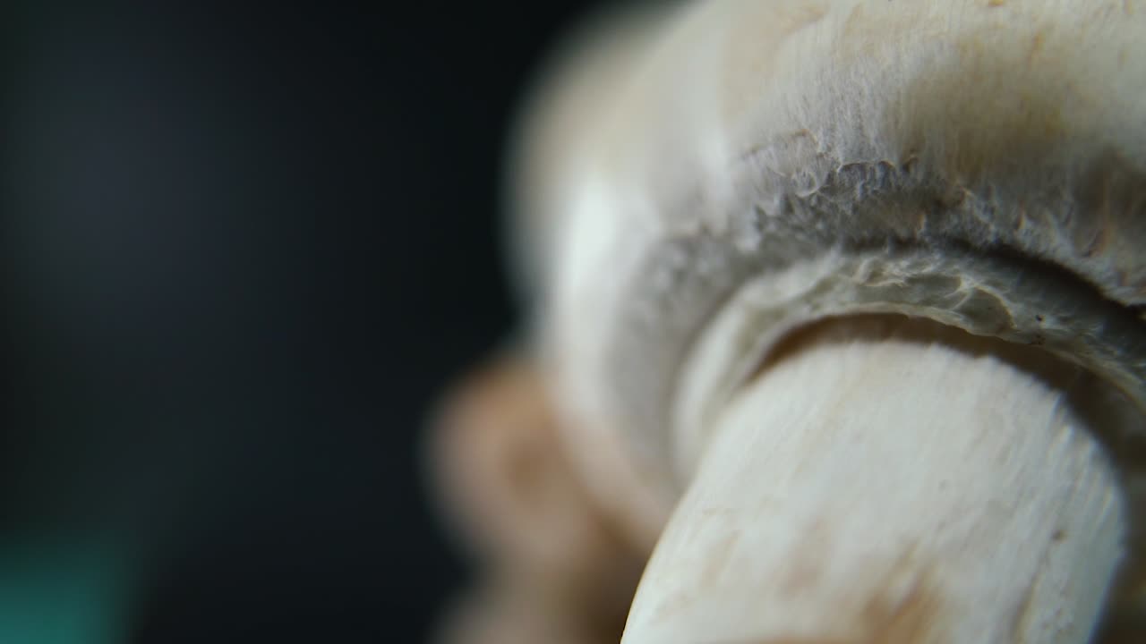 Skarpt makrovideo af en bunke svampe, kæmpe detaljerede rå champignoner, refleksion af hvide hatte, på et roterende stativ, jævn bevægelse, slowmotion 120fps