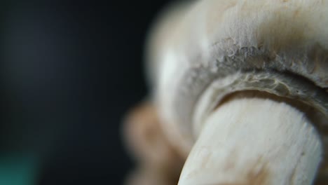 Macro-crisp-video-of-a-pile-of-mushrooms,-giant-detailed-RAW-champignons,-white-caps-reflection,-on-a-rotating-stand,-smooth-movement,-slow-motion-120fps