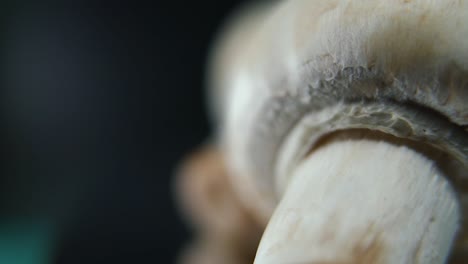 video macro nítido de una pila de setas, champignones crudos gigantes detallados, reflejo de capas blancas, en un soporte giratorio, movimiento suave, cámara lenta 120 fps