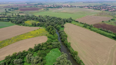 Agriculture-land-drone-view-in-morning