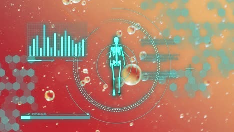 Animation-Der-Datenverarbeitung-Mit-Menschlichem-Skelett-über-Blasen-Auf-Rotem-Hintergrund