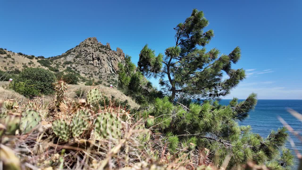 Coastal Landscape with Mountains, Pine Tree, and Sea