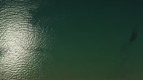 An-aerial-birds'-eye-view-of-a-sand-beach-and-the-sea,-moving-forward-towards-the-blue-sea