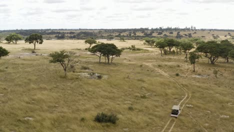 aerial follows a safari car in the savannah of zimbabwe