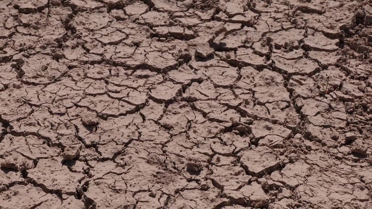 Slider shot features detailed cracked ground under harsh sunlight, highlighting severe drought in Portugal during a summer heatwave. Dry, textured earth fills the frame in sharp focus.
