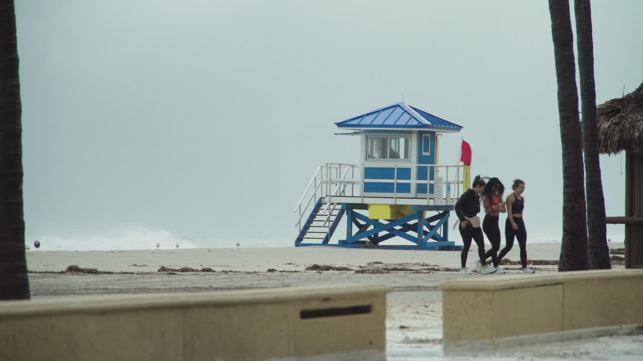 熱帶風暴: 3 隻雌性在暴風雨的日子離開空白的海灘