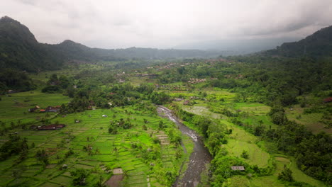 Paisaje-De-Río-En-Campos-Verdes-En-Bali,-Indonesia---Disparo-Aéreo-De-Drones