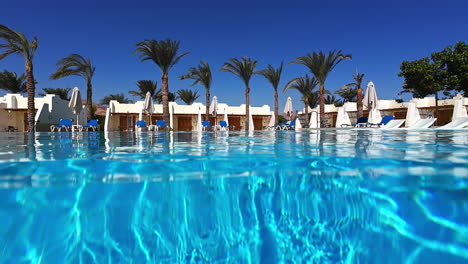 luxury resort pool with palm trees