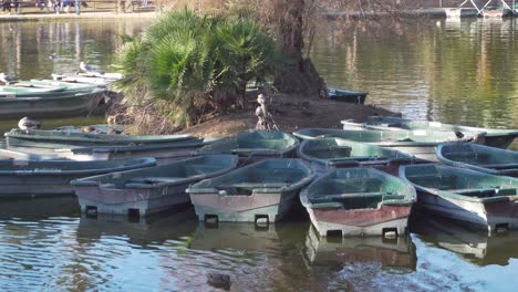 Ruderboote-Auf-Einem-Kleinen-See-Im-Parc-De-La-Ciutadella,-Barcelona