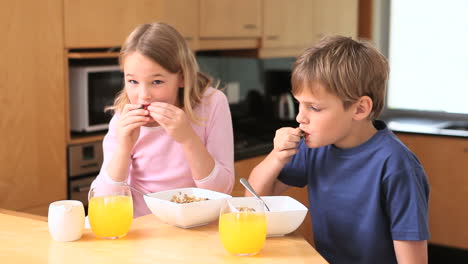 cute siblings eating their breakfast