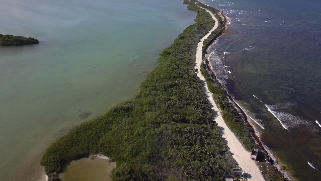 AERIAL: Narrow Road with palmtrees in tropical place
