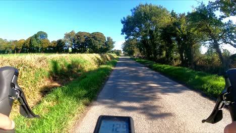 Wild-flowers-Kilkenny-cycle,-a-cycle-to-please-the-soul,-nature,-good-friends,-health-exercise