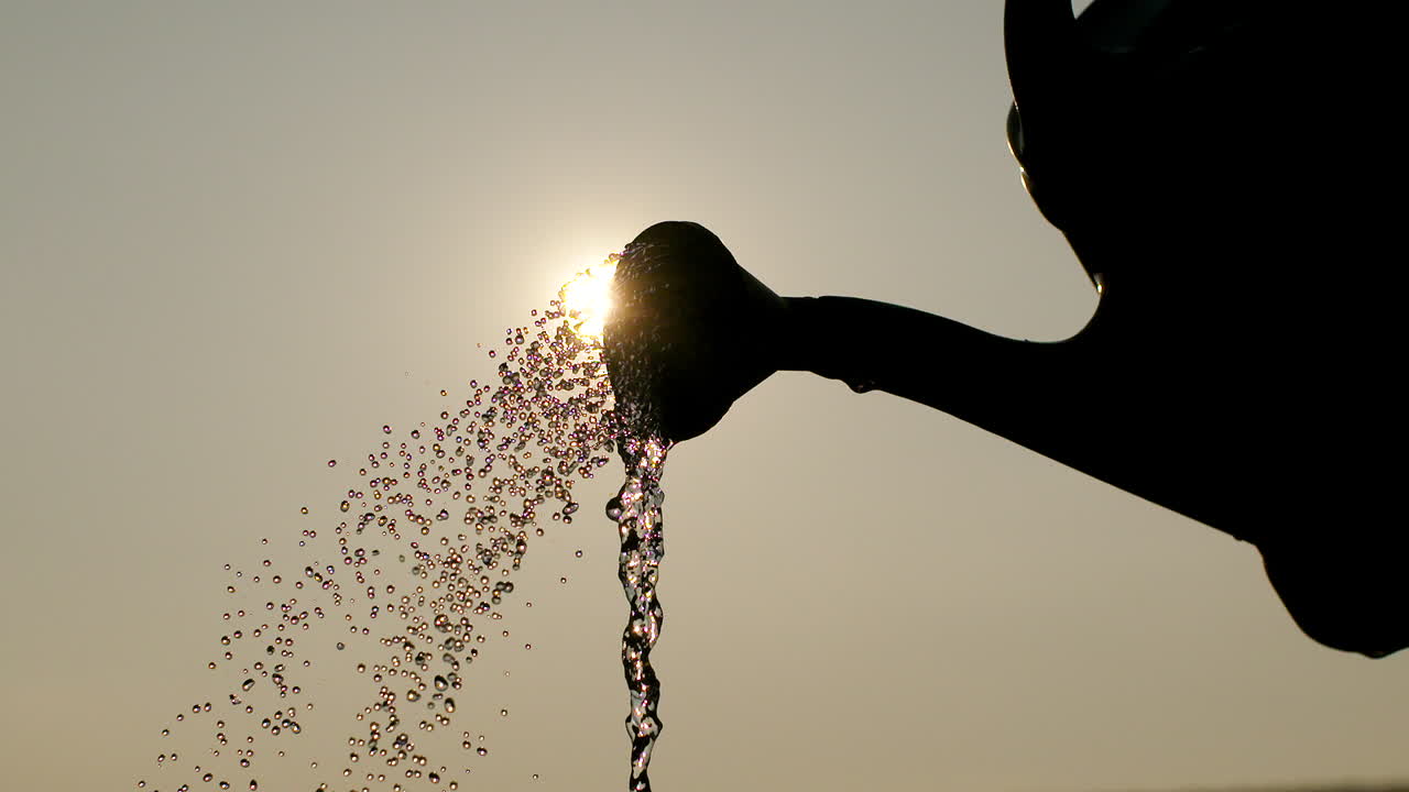 농업용 물뿌리개 물 붓기 5