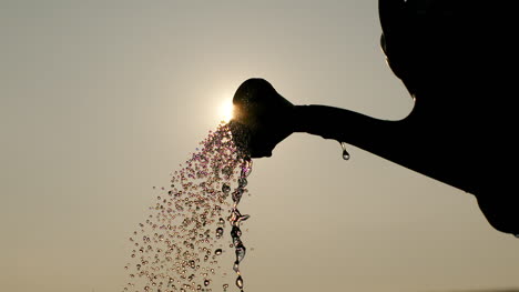 Landwirtschaft-Gießkanne-Gießen-Von-Wasser-5