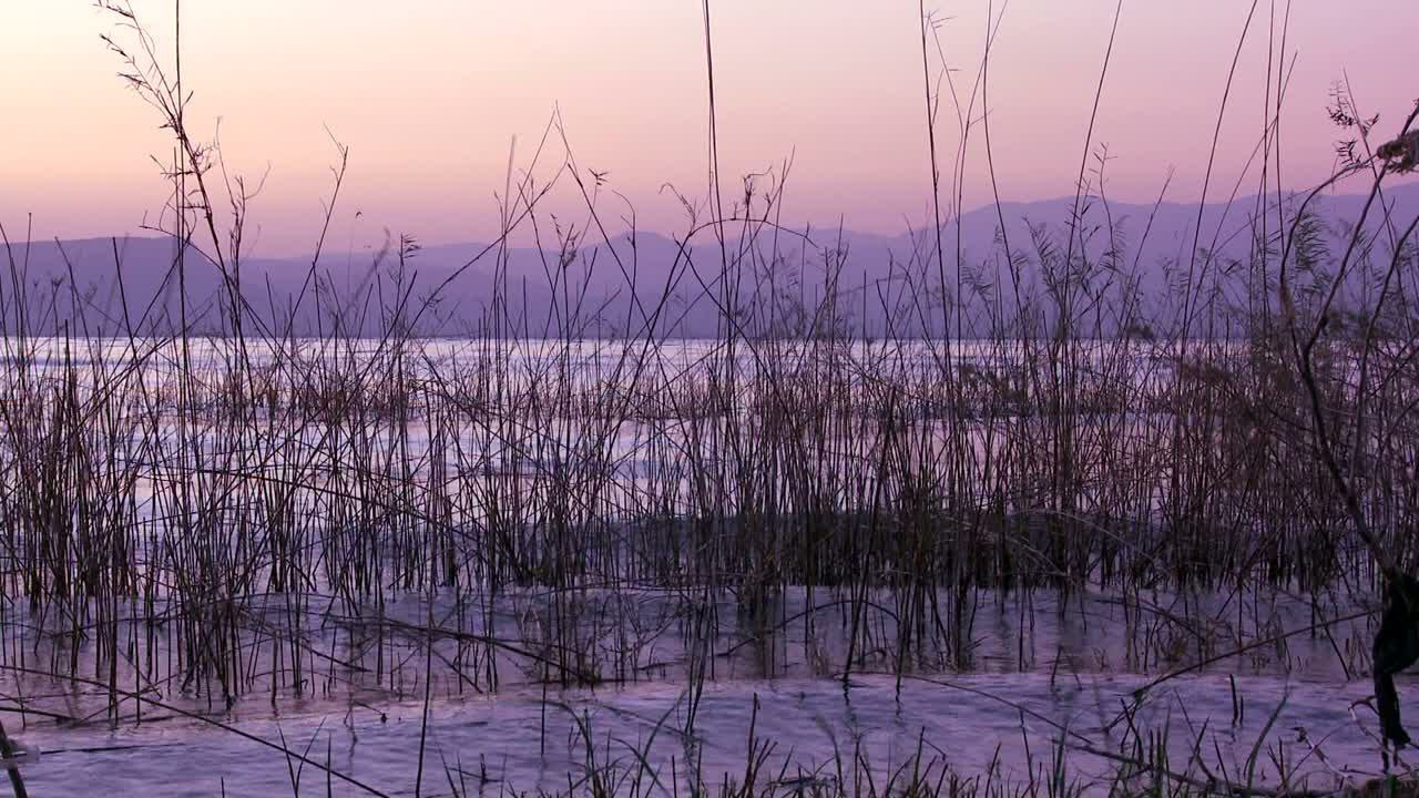 노을 질 무렵 갈릴리 바다에 아름다운 풀이 자란다 1