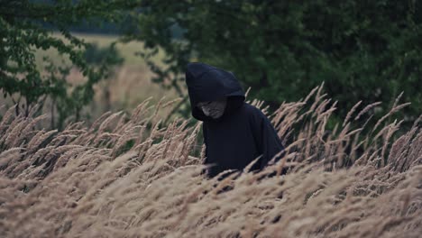 scary figure with horrorful face outdoors. ghost in black cloak walking in wheat field. spooky death among nature. halloween concept.