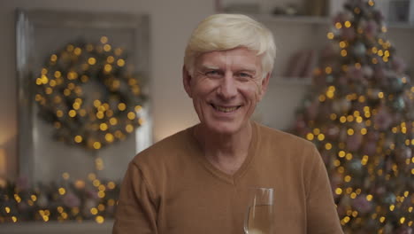 old happy man toasting and looking at the camera