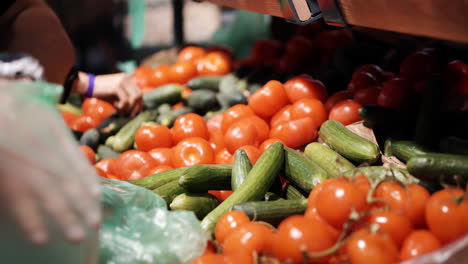 tomates frescos y pepinos en una tienda de comestibles