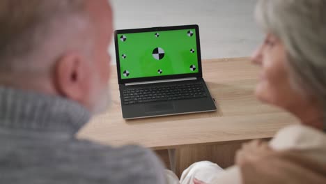 hombre y mujer mayores usan portátiles modernos con pantalla verde en casa, vista sobre el hombro, espacio vacío para el diseño
